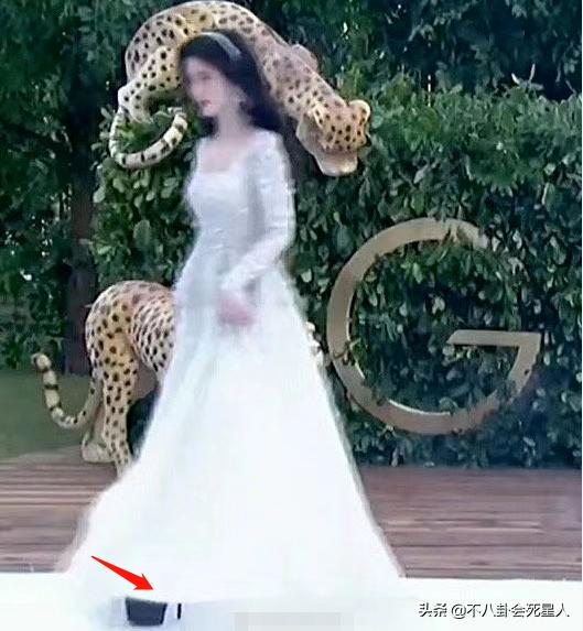 冬天走红毯穿得厚的女明星,女明星走红毯的穿着