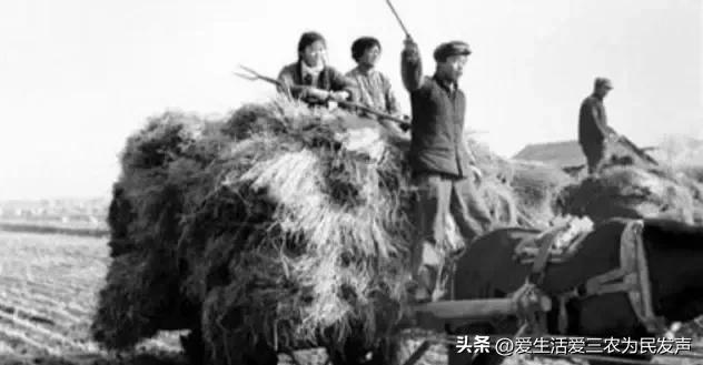 交公粮时候农民苦吗,交公粮农民辛酸的诗词