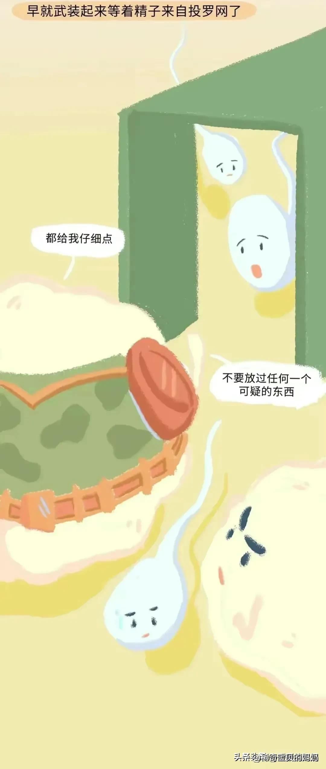 男生的“精子”进入女生体内，会发生怎样的变化？