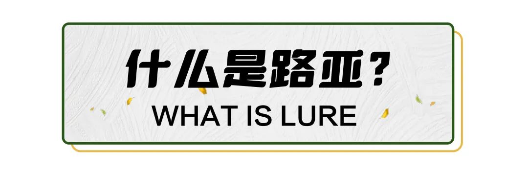 想学钓鱼新手需要买什么,新手学钓鱼最快的方法