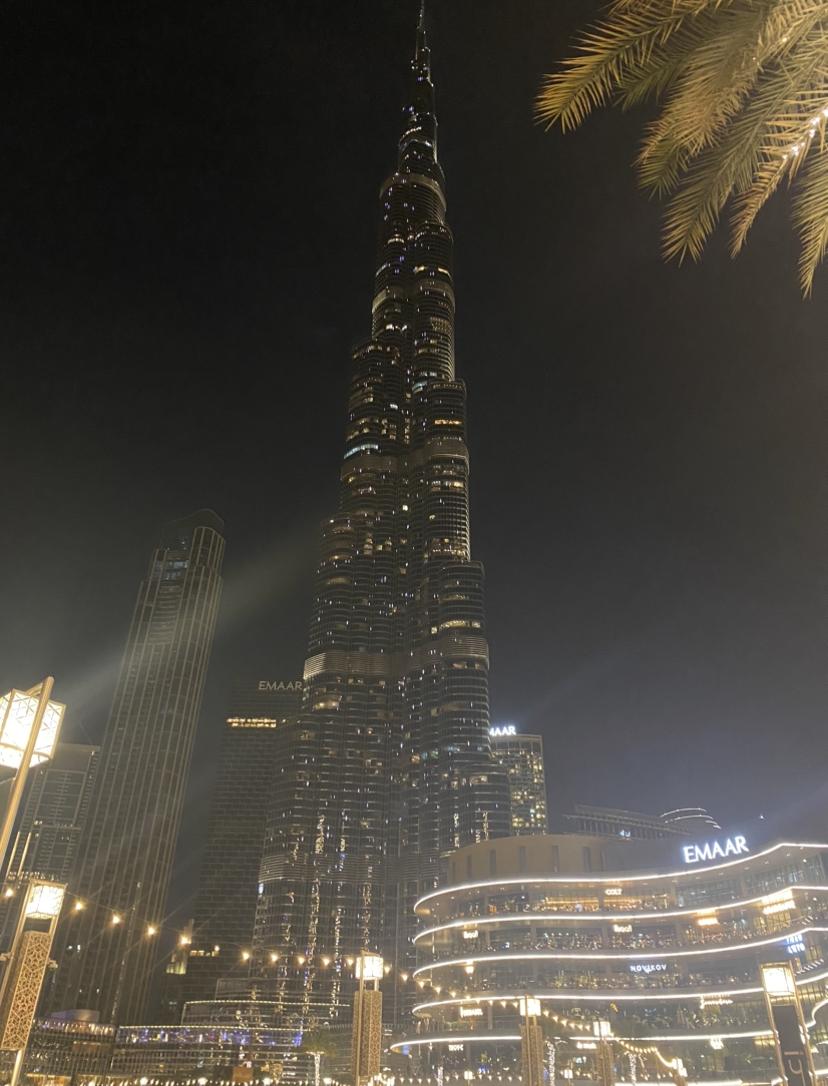 深圳直飞迪拜线路 (南航直飞迪拜有哪些城市)