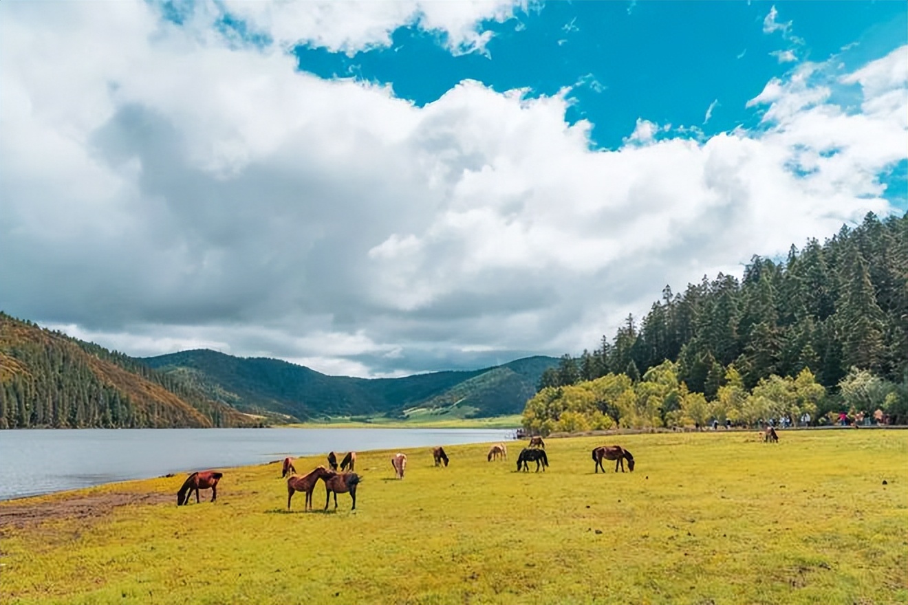 4月暖和自驾游适合去的地方,这个季节适合去哪旅游自驾