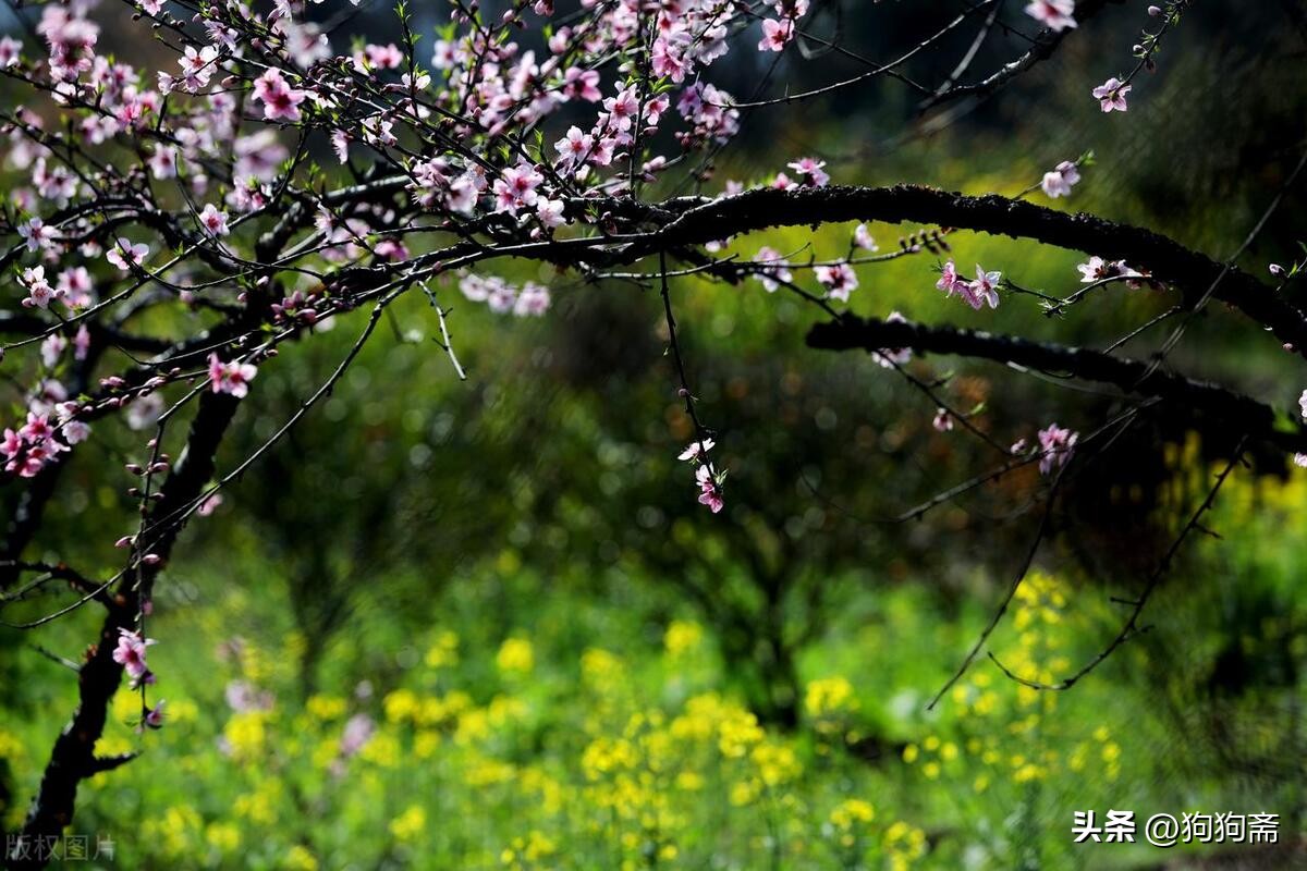 从底层开始小说,底层生活小说全集