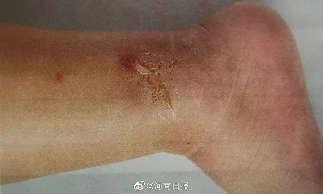 郑州航空港站今日开通运营/天气有变！郑州最新发布/郑州消费券今天又来了/河南公布暑期学生免门票景区名单