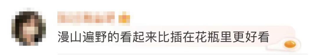 权威解读谣言粉碎机,谣言粉碎机