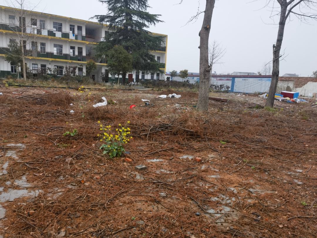 湖北随县博爱特校性侵案调查校长,湖北随县博爱特校性侵案调查