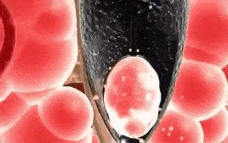 淘米水让白发变黑发吗,淘米水洗发水真的能让白发变黑吗