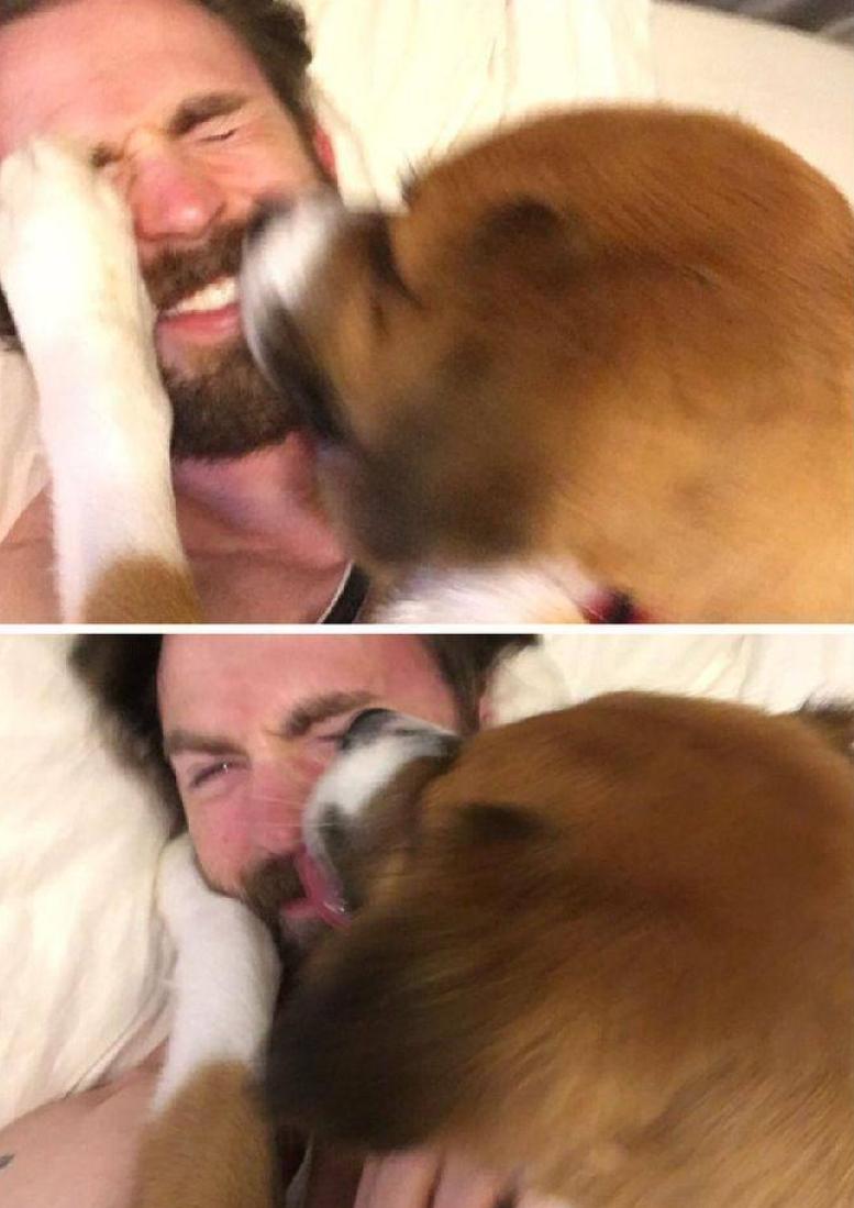 抖森当爸,抖森当爸爸了