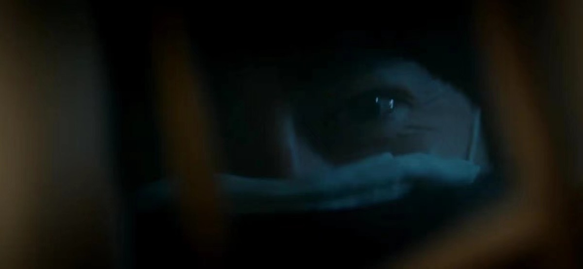 他是谁：碎尸案凶手如何消失的？八年后原因曝光，卫国平才是关键