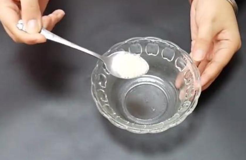 两个月的博美没有精神不吃东西,一个月的博美生病了出院后怎么养