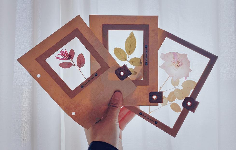 塑封机封1寸照片,塑封机塑封照片有长条印