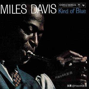 猛牌monitor300落地音箱,猛牌铂金300音箱怎样