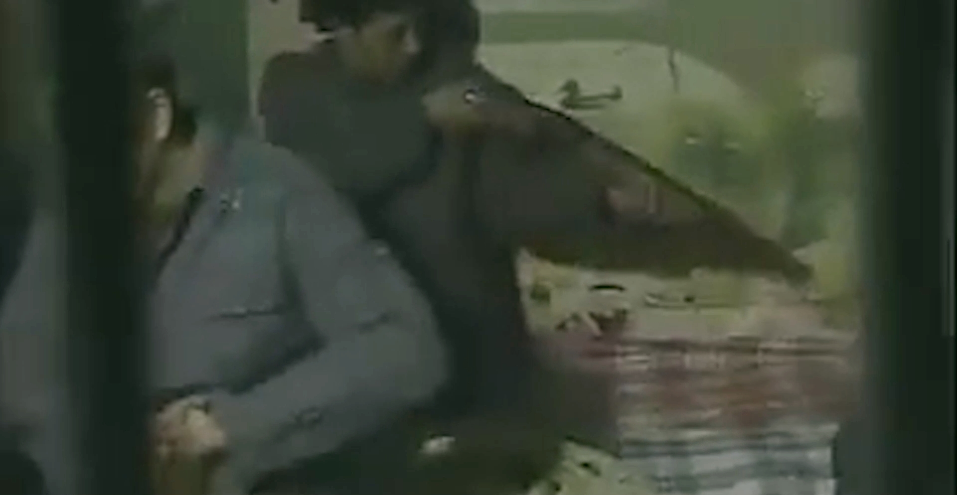 中国十大悍匪案电视剧解说,十大悍匪大案全集纪录片