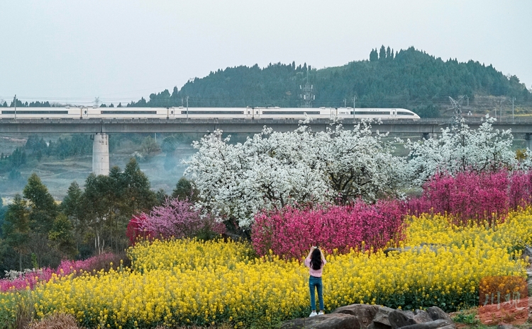 走过岁月的回忆,走过岁月的路口