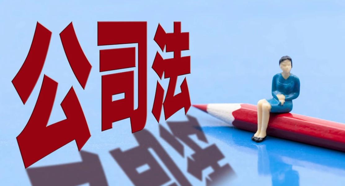 丁某、龙某、张某诉大地公司决议撤销纠纷案之评析