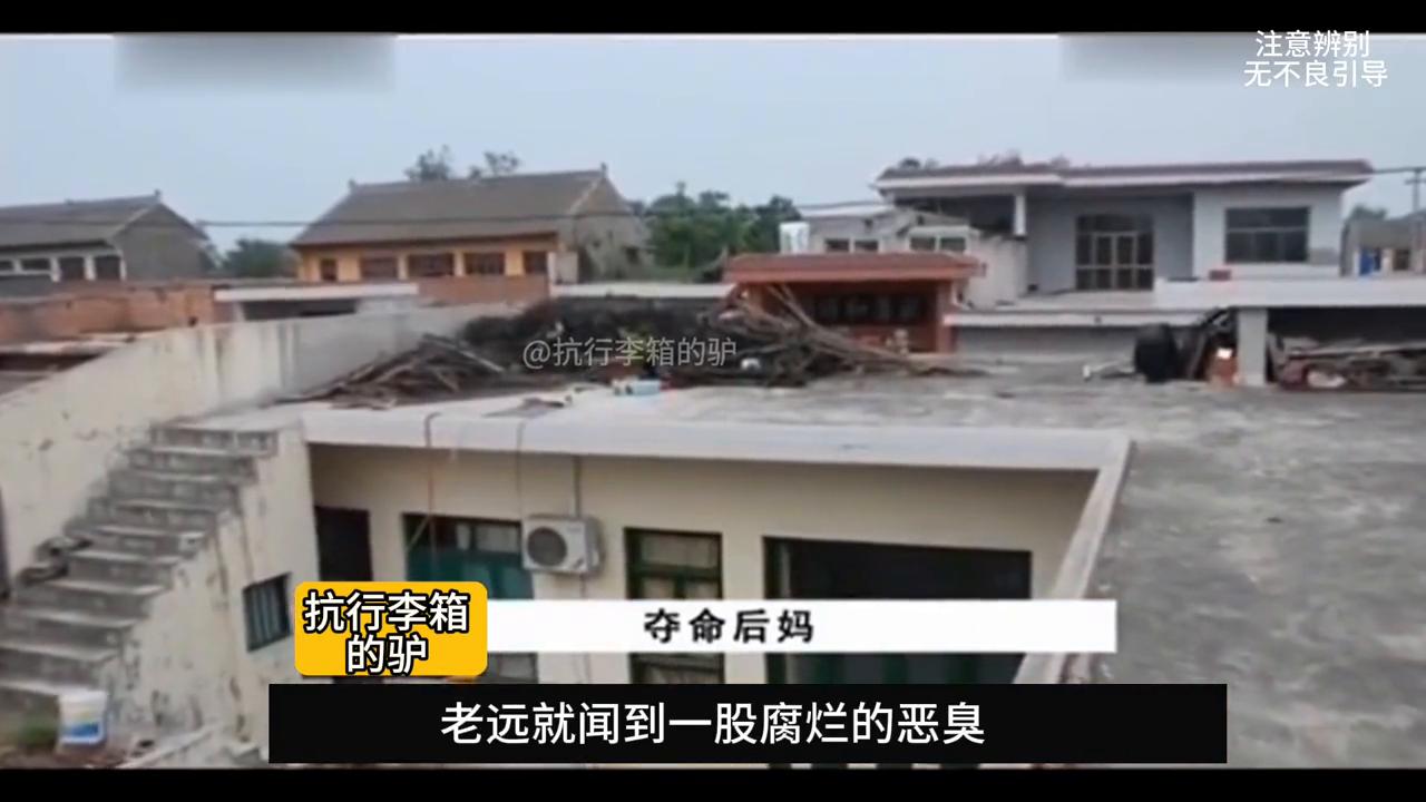 恶毒后妈把继子推下悬崖,恶毒后妈为独吞遗产把继子赶出门