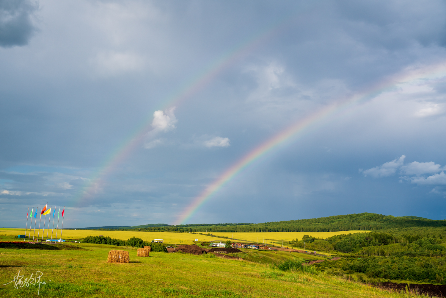 我的2022年度报告,我的2022原版