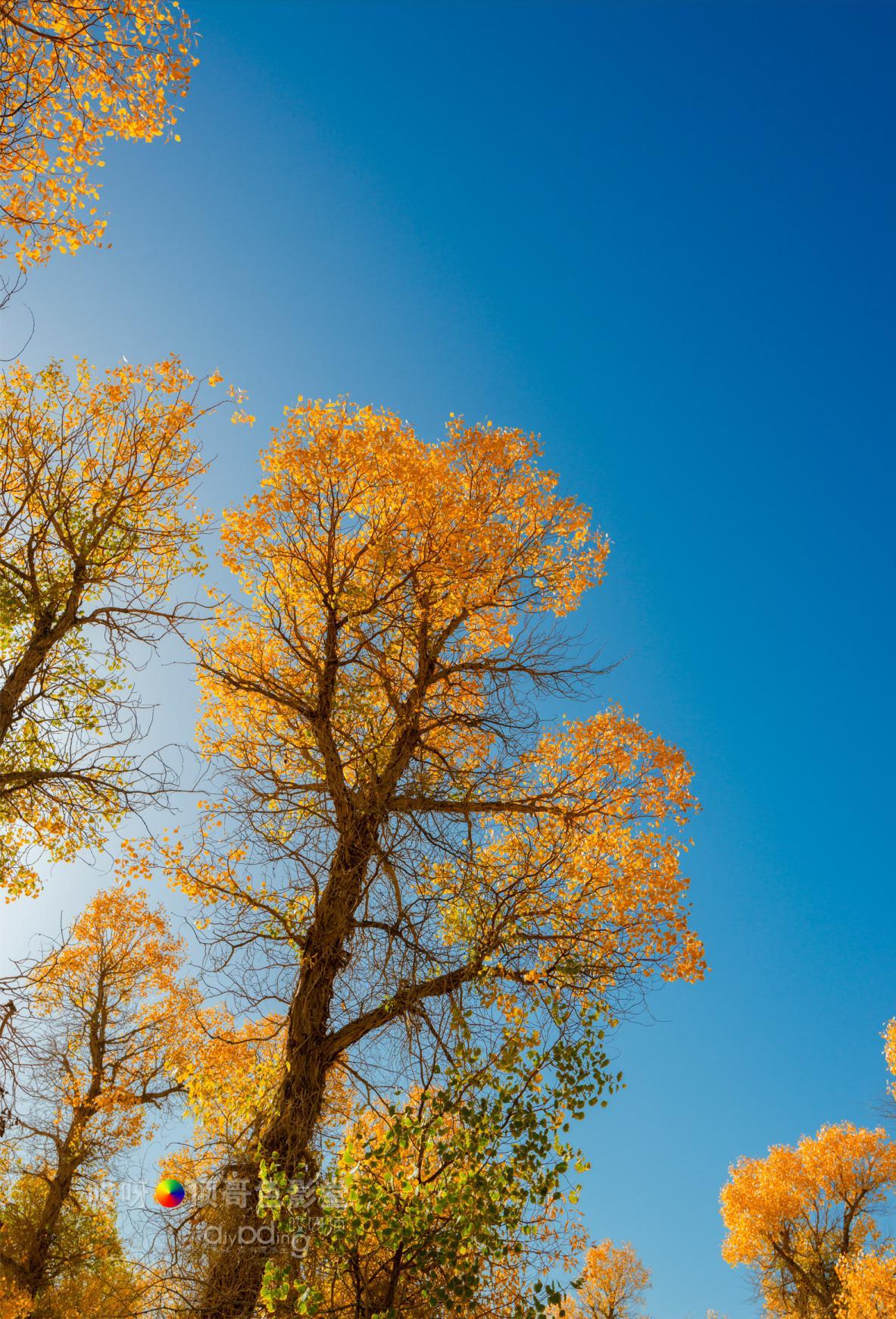 女司机带娃去新疆自驾游,带着女司机自驾游兰州