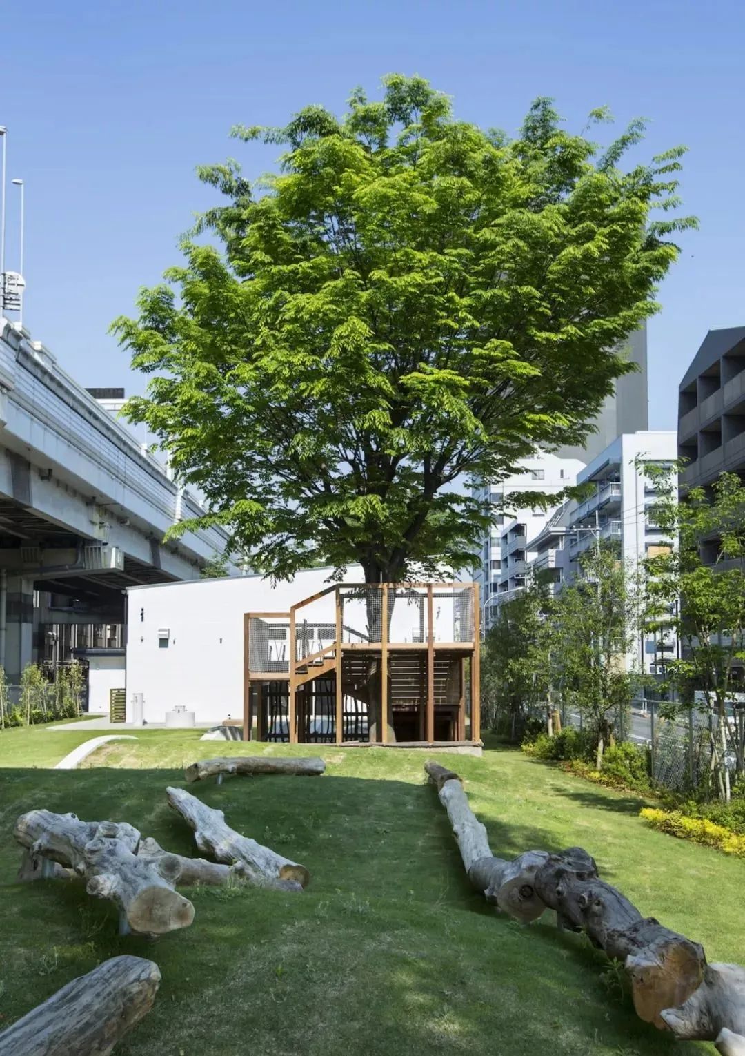 大学校园绿化设计,现代校园绿化规划设计