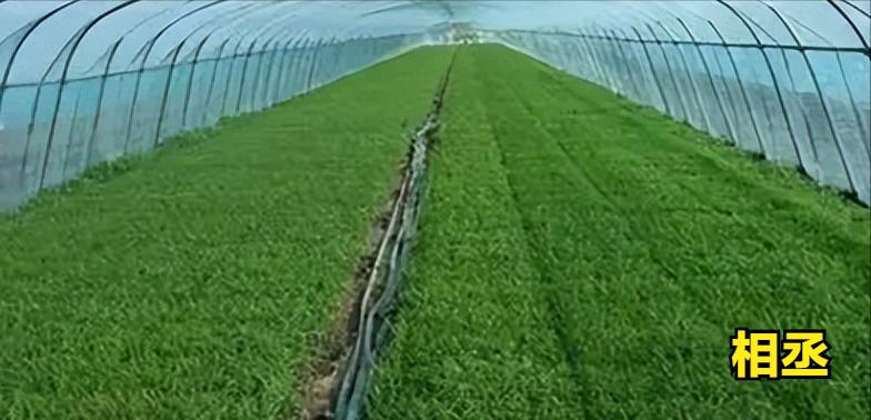 哈密电采暖优势,电采暖的优点与缺点