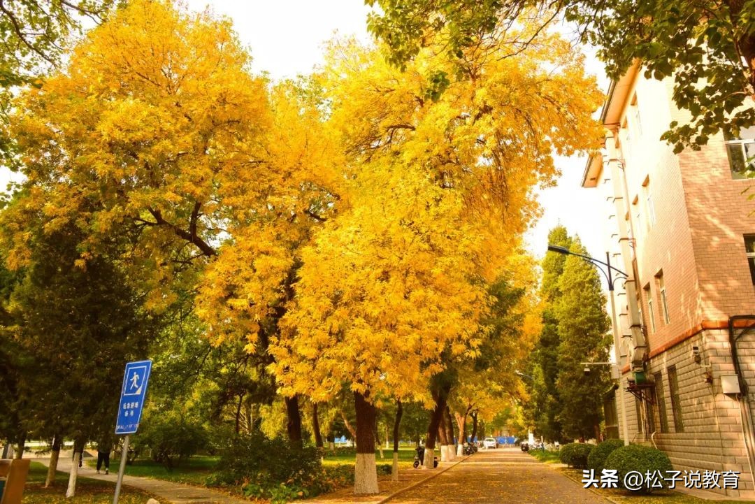 选择北京邮电大学,选择北京邮电大学的理由