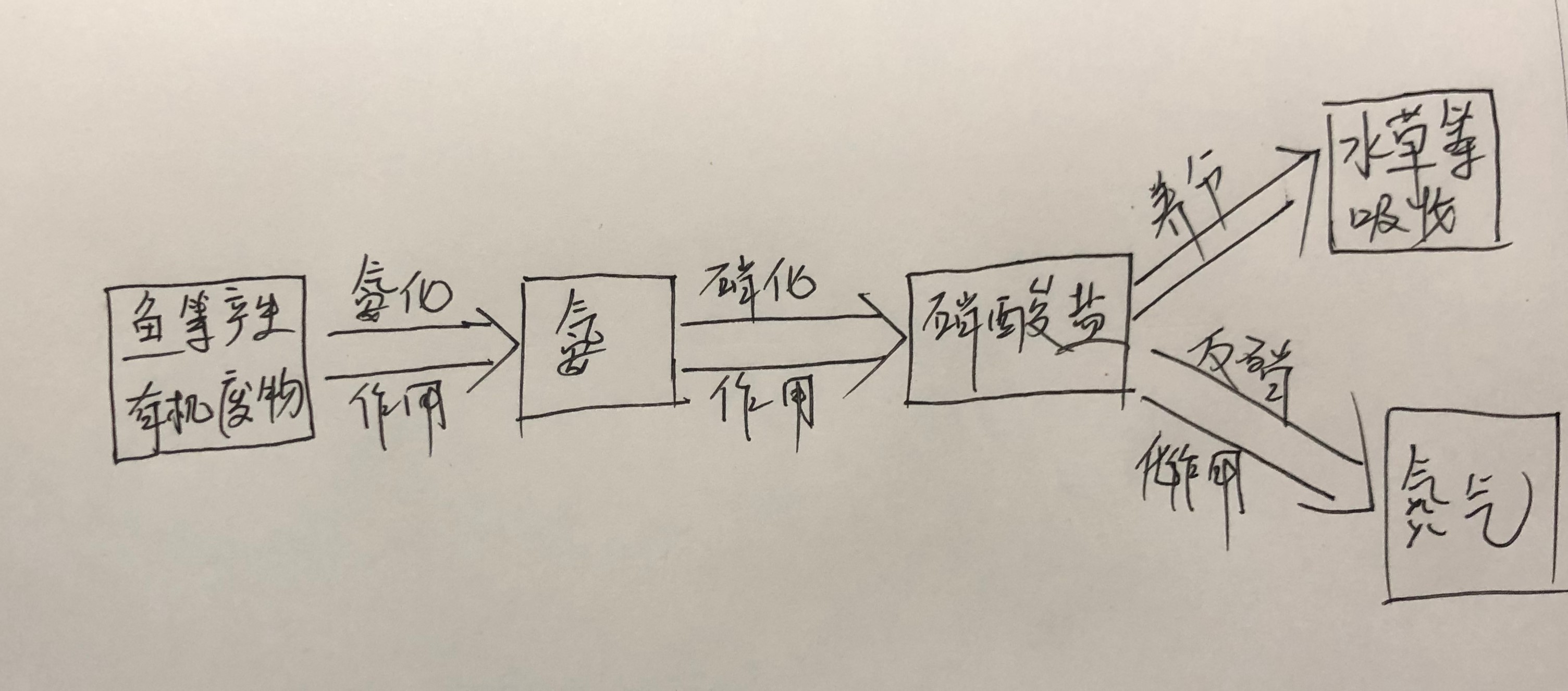 水族箱上过滤系统滤材摆放,水族箱改装过滤系统