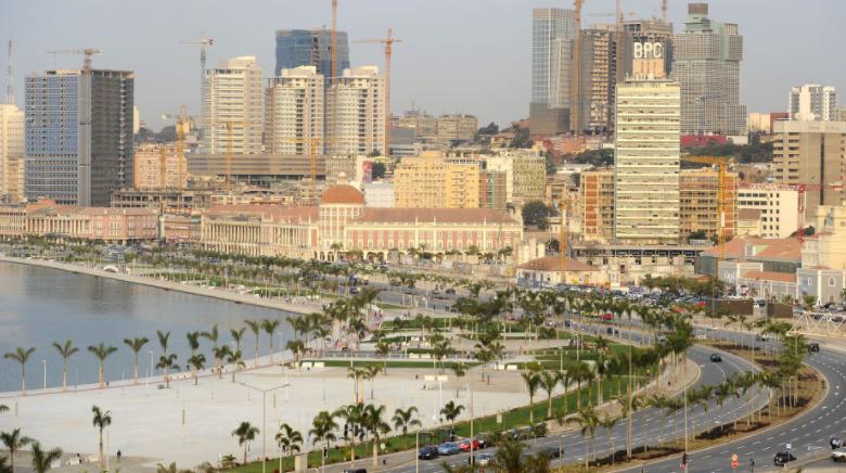 中国安哥拉蔬菜 (安哥拉的中国人种菜)