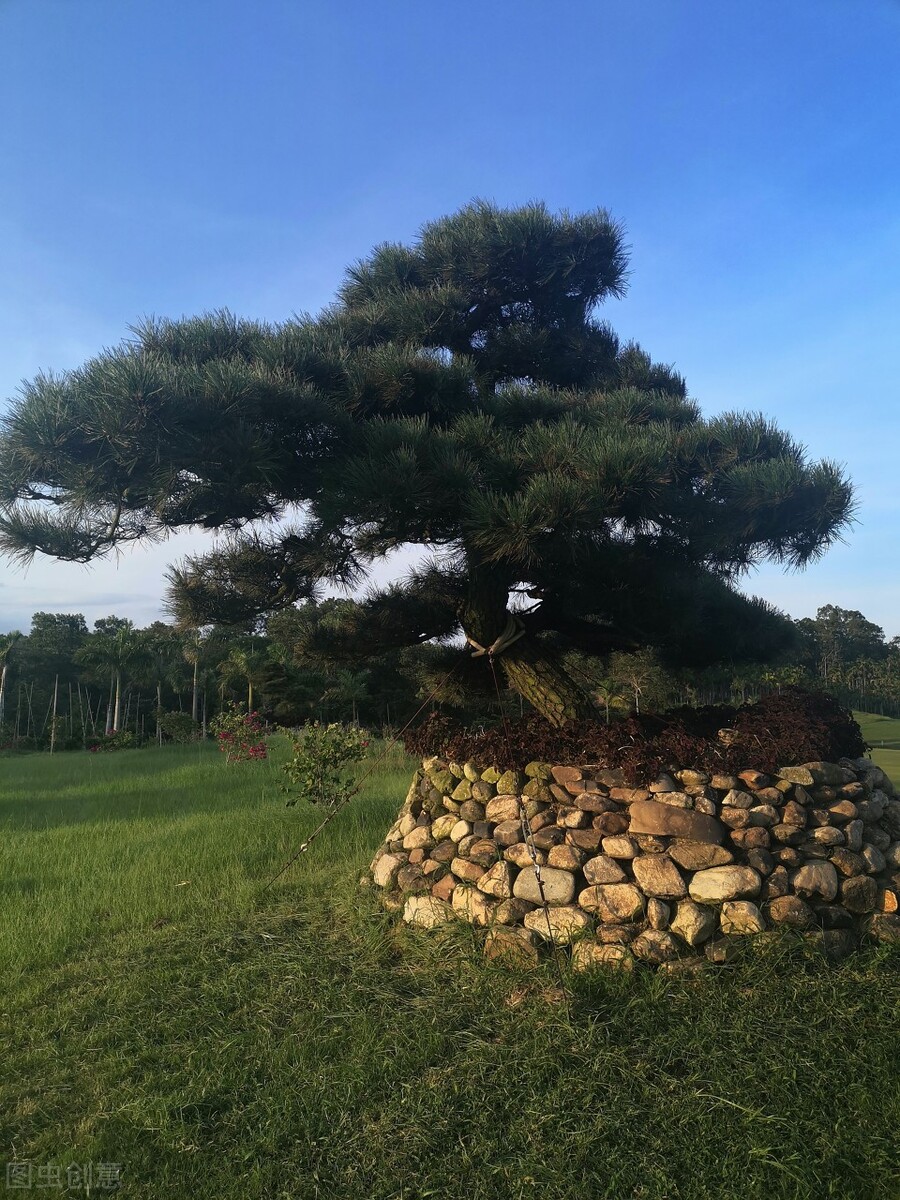 榛戞澗鐩嗘櫙鎬庝箞鍒朵綔閫犲瀷濂界湅 (榛戞澗灏忕泦鏅殑鍒朵綔鏂规硶鍥剧墖)