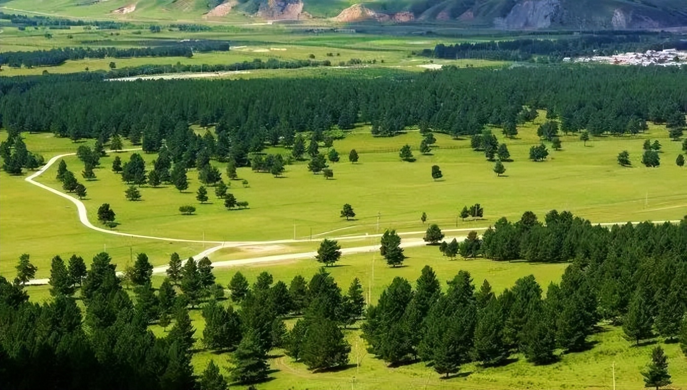 保险业助推脱贫攻坚报告,2020年保险业提供风险保障