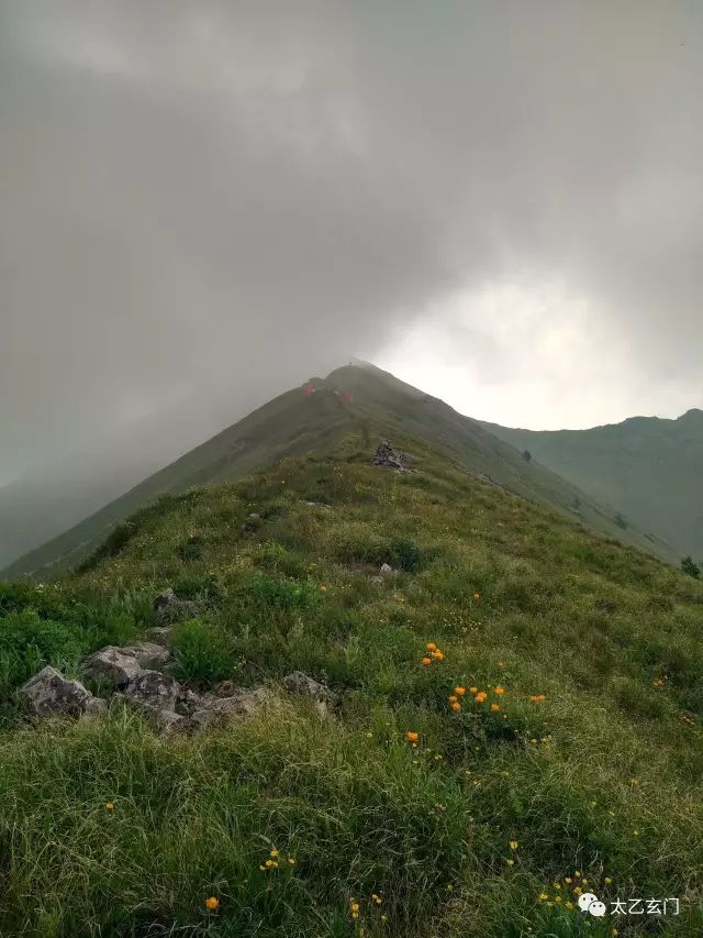 小五台山金莲花坡,小五台金莲花