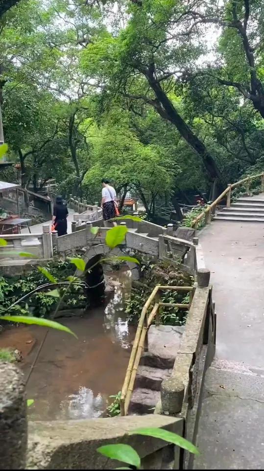 大运狂飙,兔年行大运好运常相伴