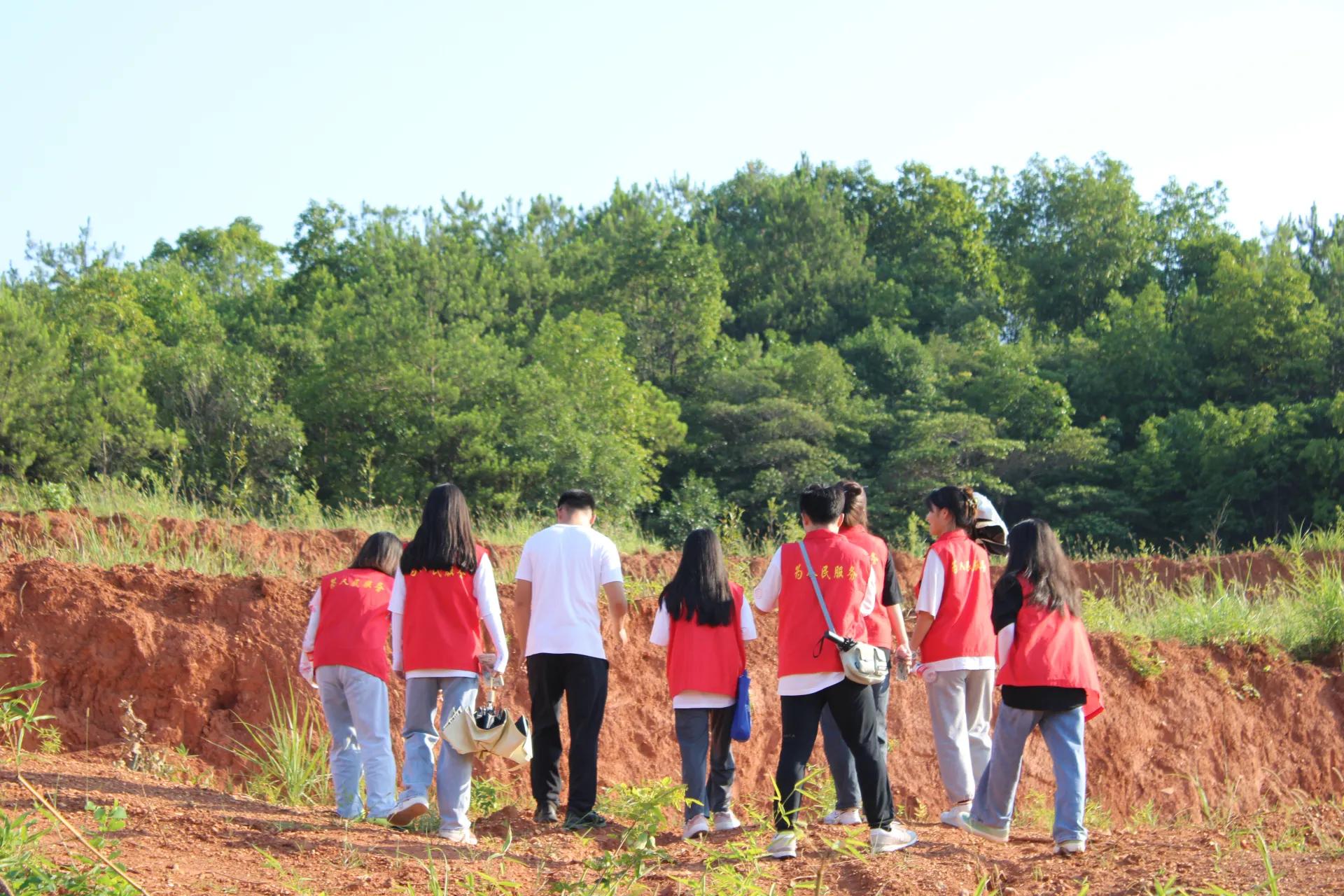 活水注入乡村振兴,乡村振兴的经验分享与最佳实践