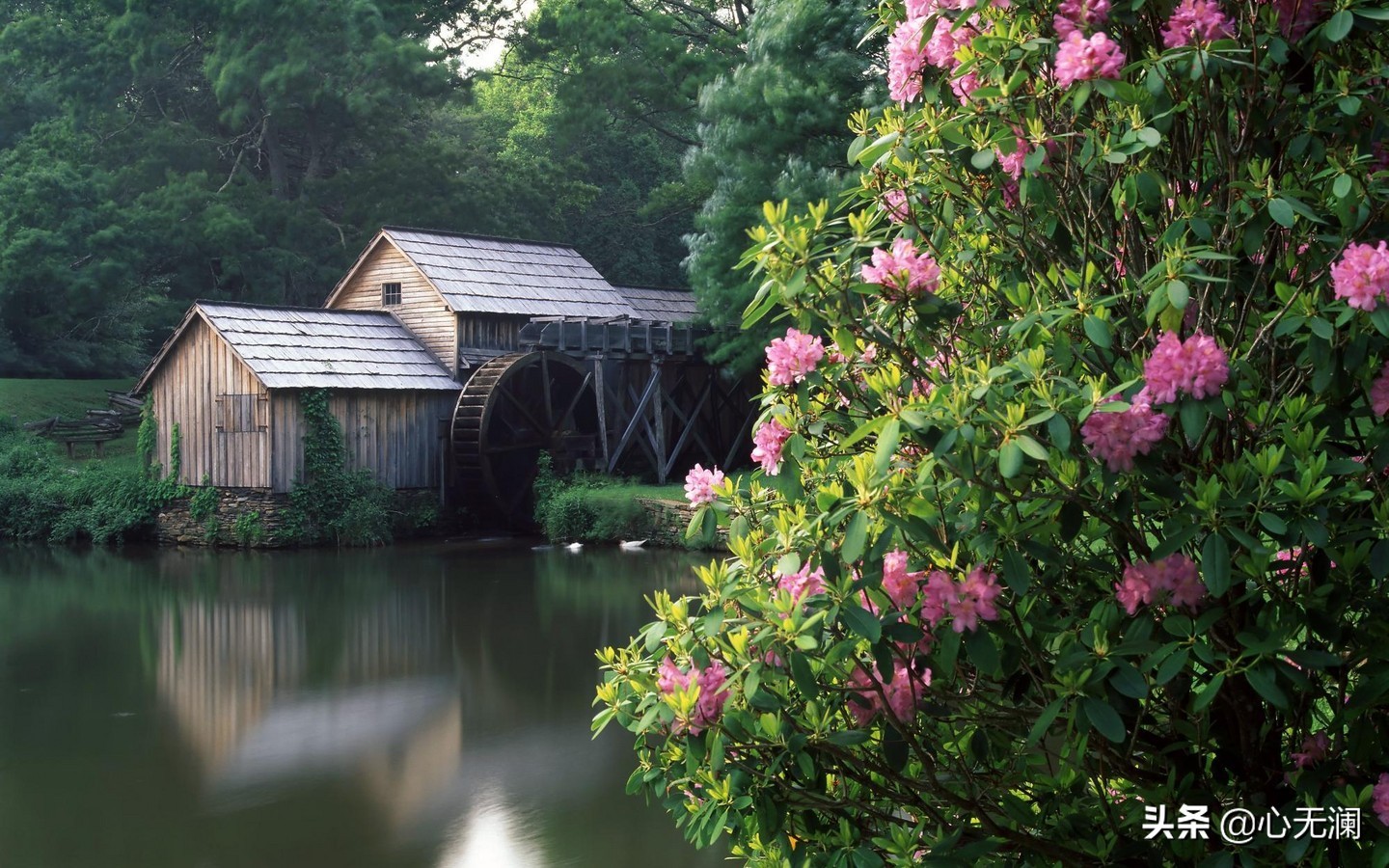 愿天下无“癌”：鼻咽癌患者，拒绝吃肉家人反对，半年后病毒清零