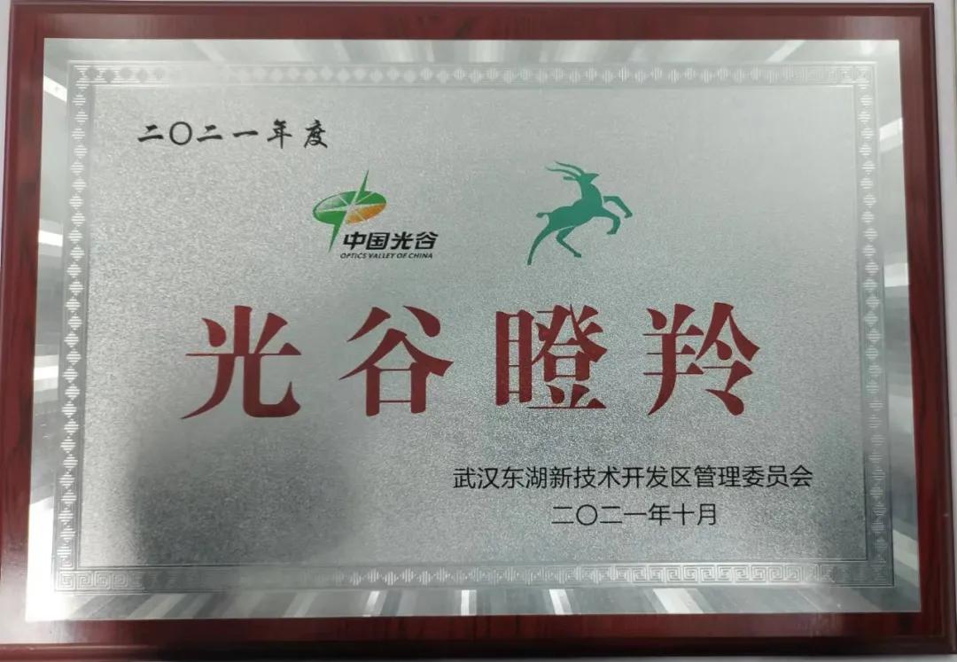 快速奔跑,持续成长,天耀宏图再获“瞪羚企业”称号