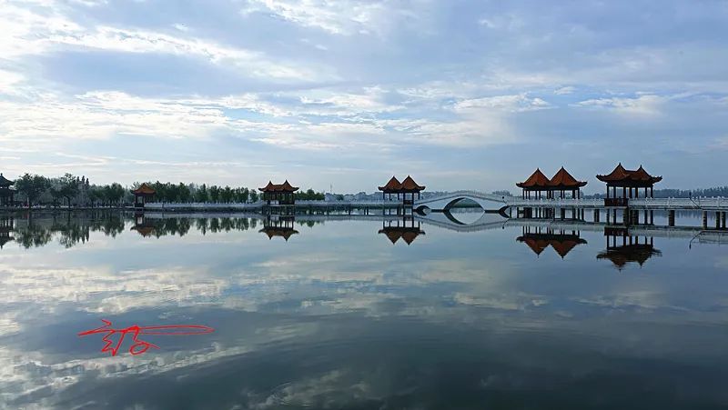 淮阳荷花节什么时间最好看,淮阳看荷花节开幕