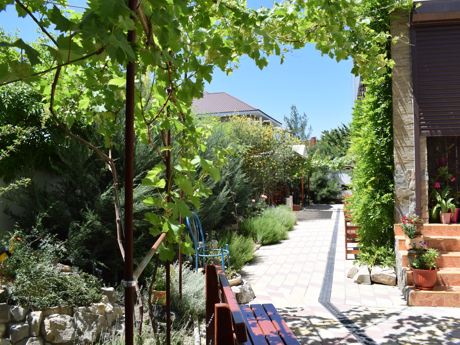 最舒服简单的农家小院,自建房三开间农家小院布局