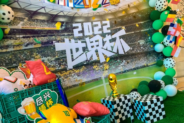 从卡塔尔世界杯看大学专业,从卡塔尔世界杯看中国经济