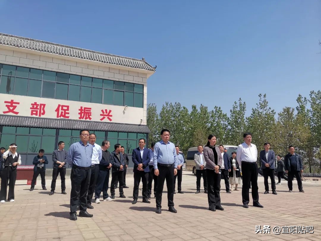 宜阳县克村乡村振兴,河南省辉县市乡村振兴