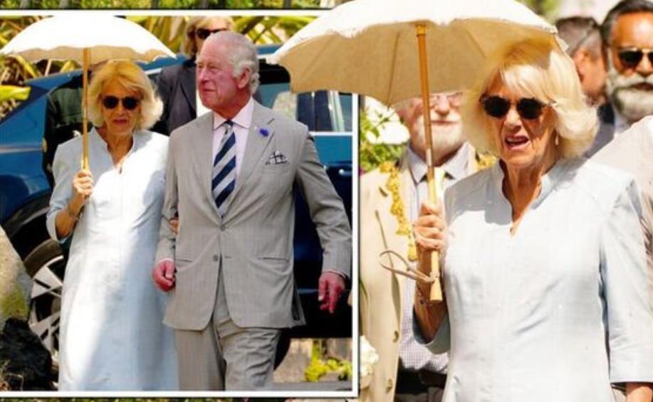 70岁卡米拉,75岁的卡米拉气场全开如女王