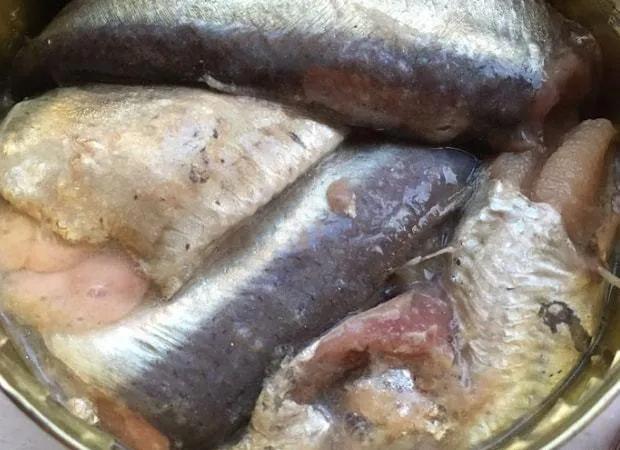 鍥藉榛戞殫缇庨鏂欑悊,鍥藉10閬撲护浜哄穿婧冪殑榛戞殫鏂欑悊