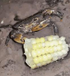 驾校的每一个点都有他存在的意义,驾校的一草一木都有它存在的意义