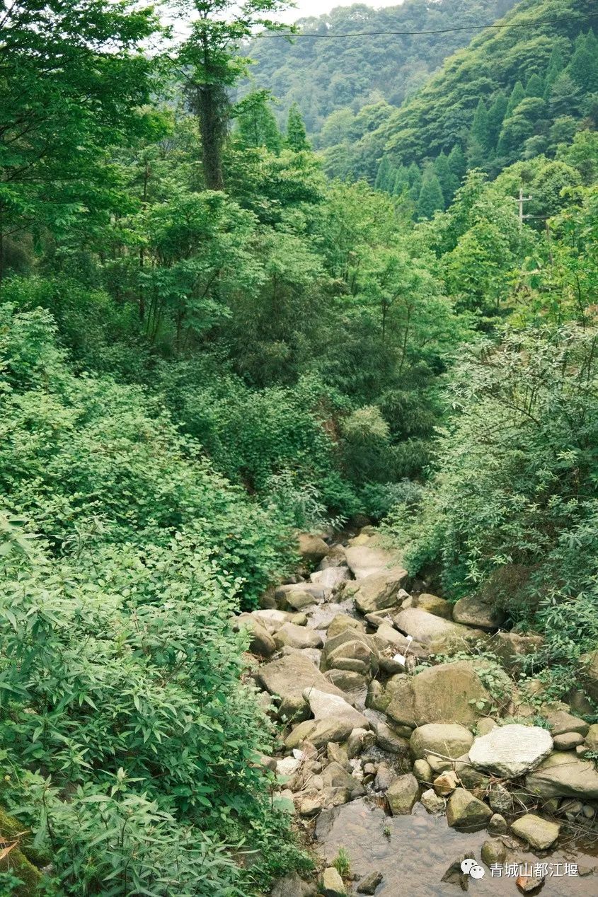 来都江堰的山间溪畔赴一场“好食光”！青山间的火锅店、花园里的小食堂......赏景美食两不误~