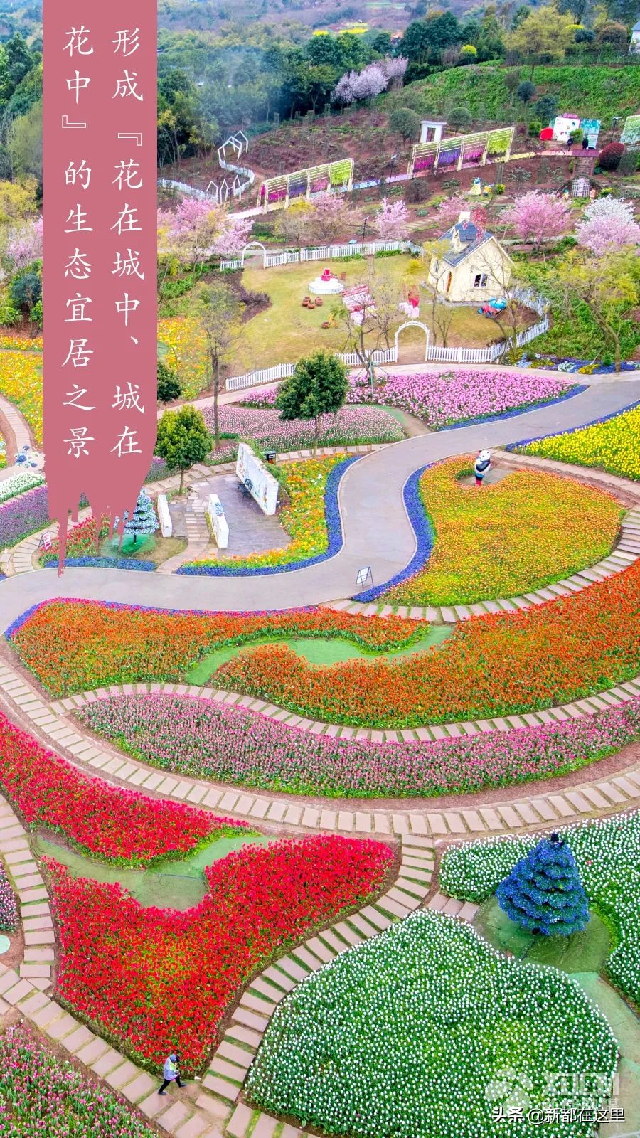 妙手生花短文,妙手生花写文章