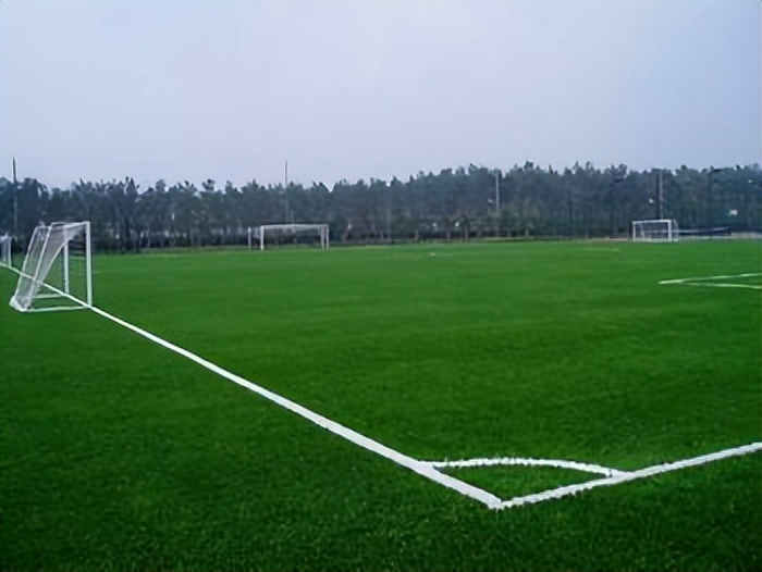 人造草坪最好的是哪个品牌,好的人造草坪品牌