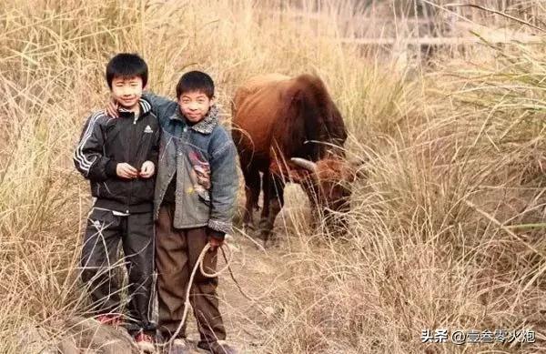 放牛时的那些事，你干过吗