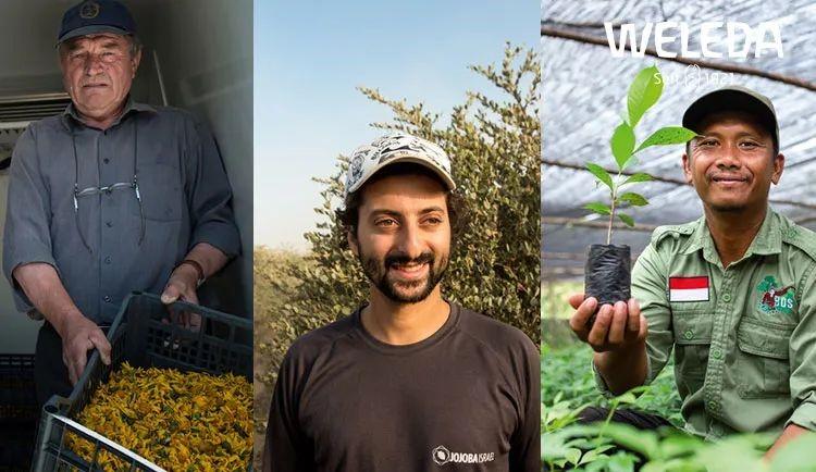 绿色有机美容护肤品牌WELEDA：一个世纪的零碳故事