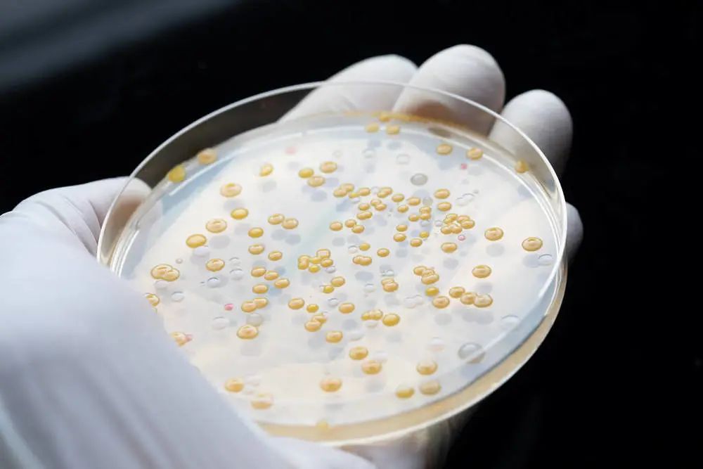 你吃的药都干净吗