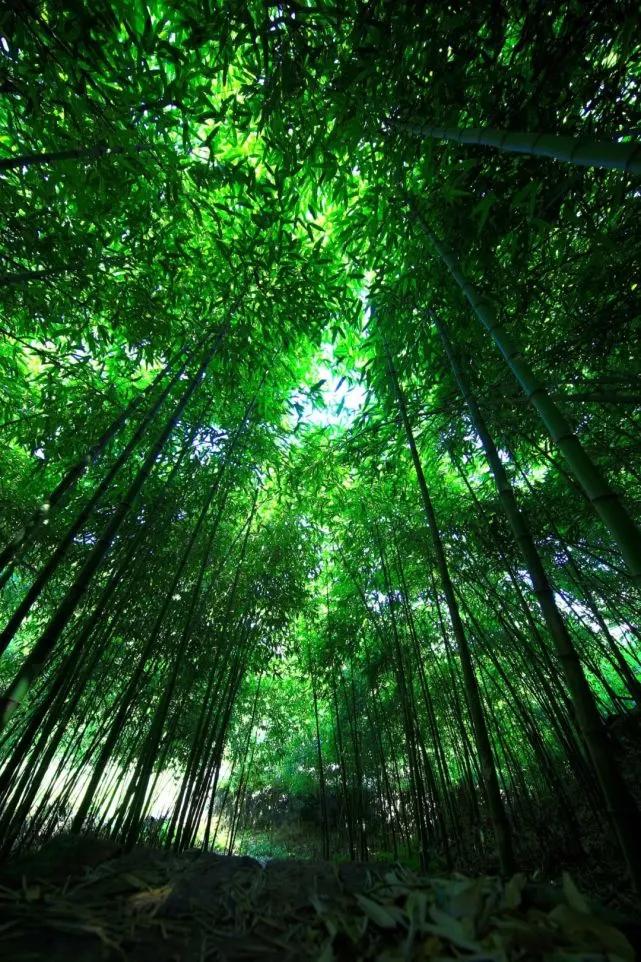 贵州避暑包吃住价格表,贵州毕节避暑农家乐包吃包住