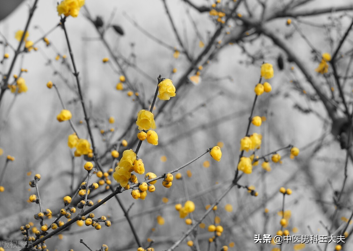 前列腺炎肛门坠胀反复怎么缓解,前列腺炎为什么反复时症状加重