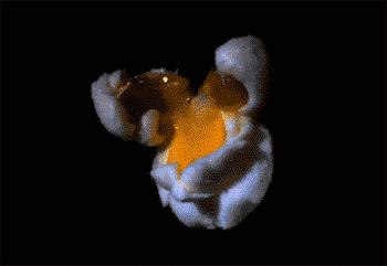 小时候崩爆米花的情景,以前崩爆米花